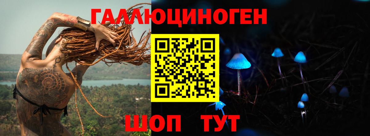 Псилоцибиновые грибы прущие грибы  Вход с VPN  Псилоцибиновые грибы ЛСД  Новоалтайск 